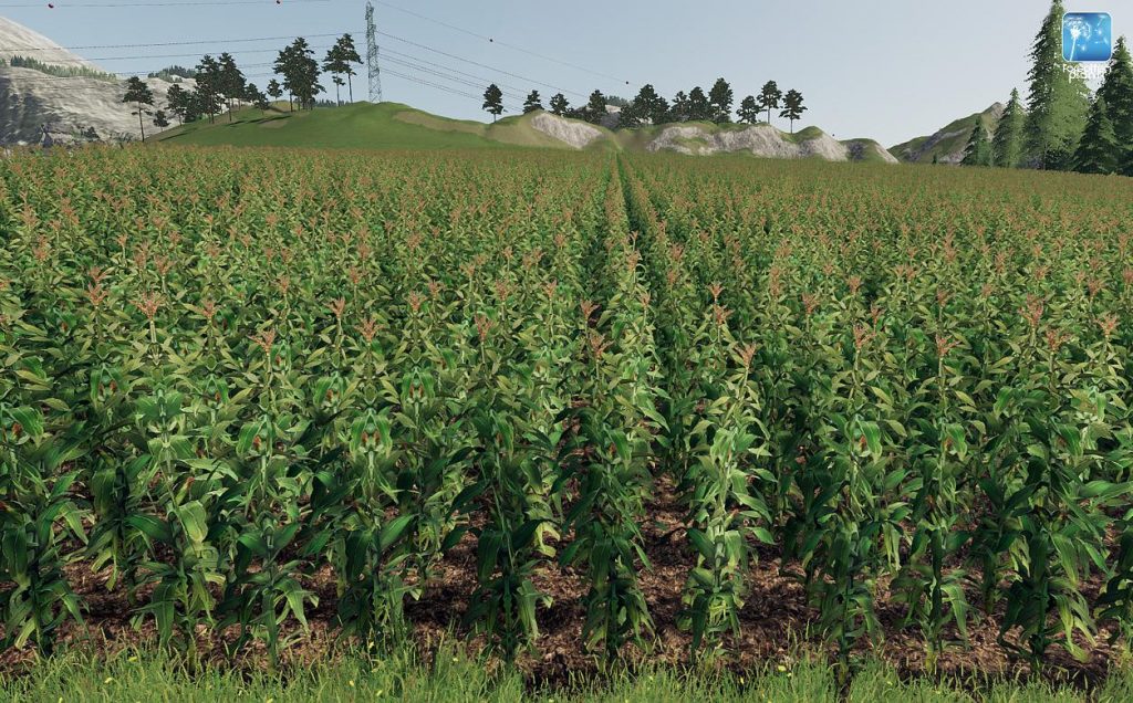 Fs 19 Forgotten Plants Maize V10 Farming Simulator 22 Mod Ls22 Mod Download 5752