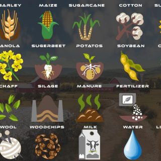 Mod Forgotten Plants - Icons v1.0 - FS 25 modding - LS25 Mod download!