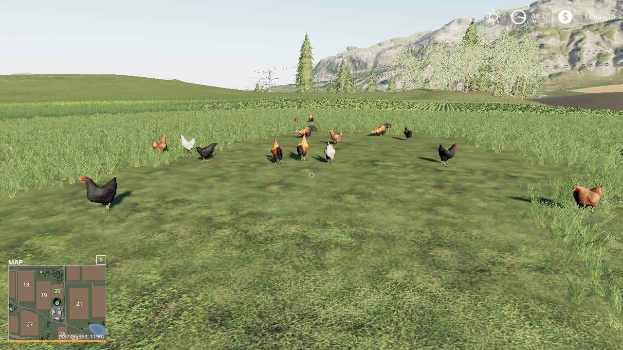 Mod Free Range Chickens V10 Farming Simulator 22 Mod Ls22 Mod Download 2994